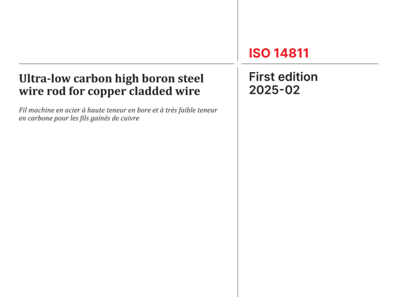 FISSOT ISO 14811:2025 STANDARD